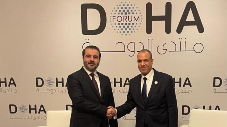 وزير الخارجية المصري مع نظيره السوري 