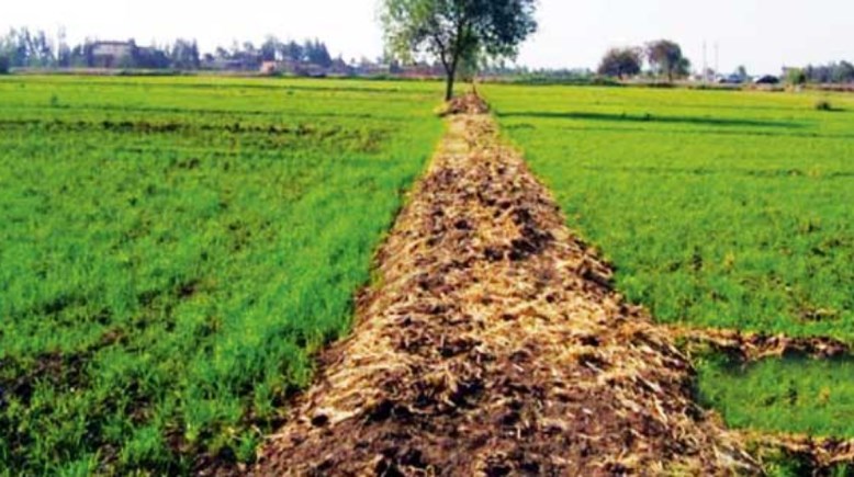 أراضي الأوقاف المؤجرة للفلاحين