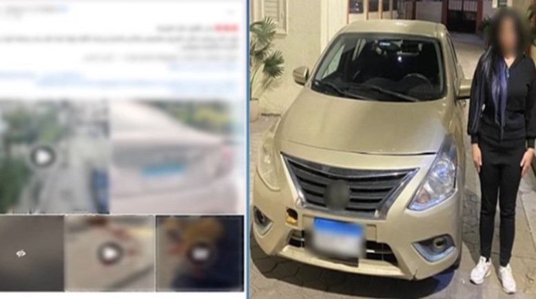 المتهمة بالقيادة عكس الاتجاه ودهس كلب بالإسكندرية