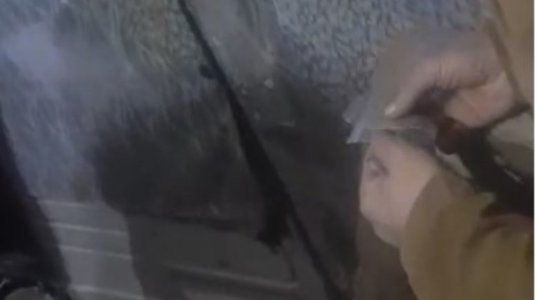 لقطة من الفيديو 