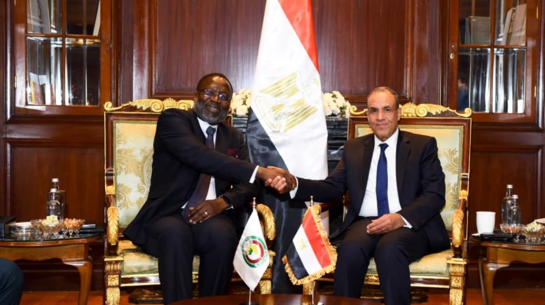 وزير الخارجية يلتقي رئيس مفوضية الإيكواس