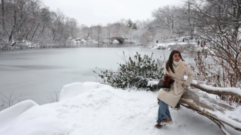 عاصفة ثلجية في نيويورك 