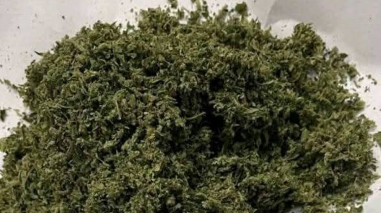 جانب من المضبوطات 