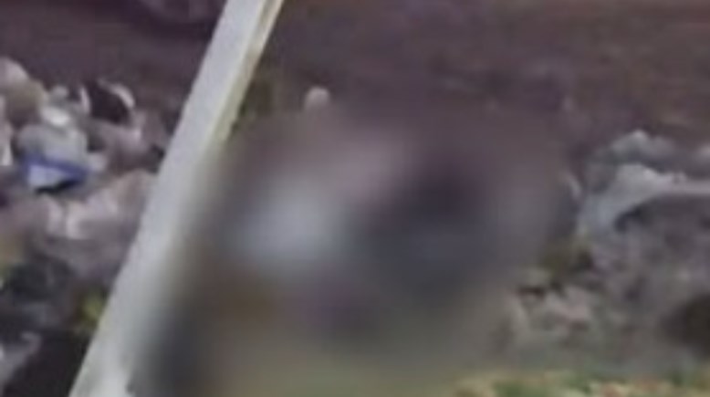 جانب من الواقعة 