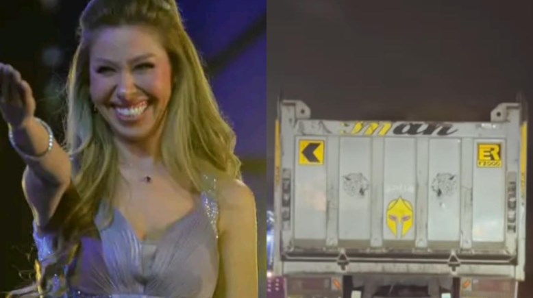 الفنانة إيناس وجانب من الواقعة 