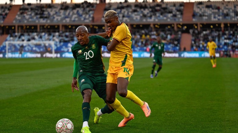 جنوب أفريقيا وزيمبابوي