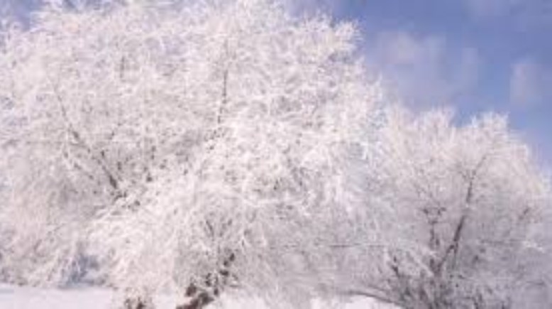  موعد انتهاء الشتاء