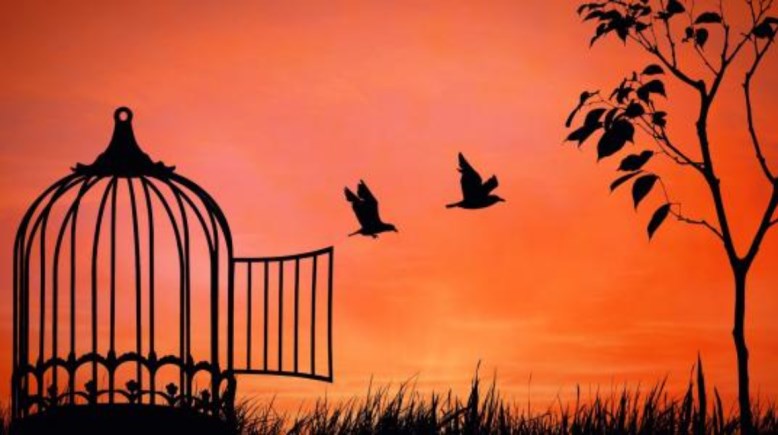 موضوع تعبير عن الحرية للصف الأول الإعدادي