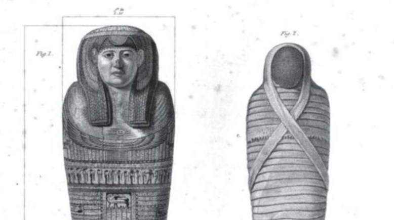 السل في مصر القديمة