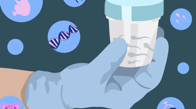 متبرع بالحيوانات المنوية- تعبيرية