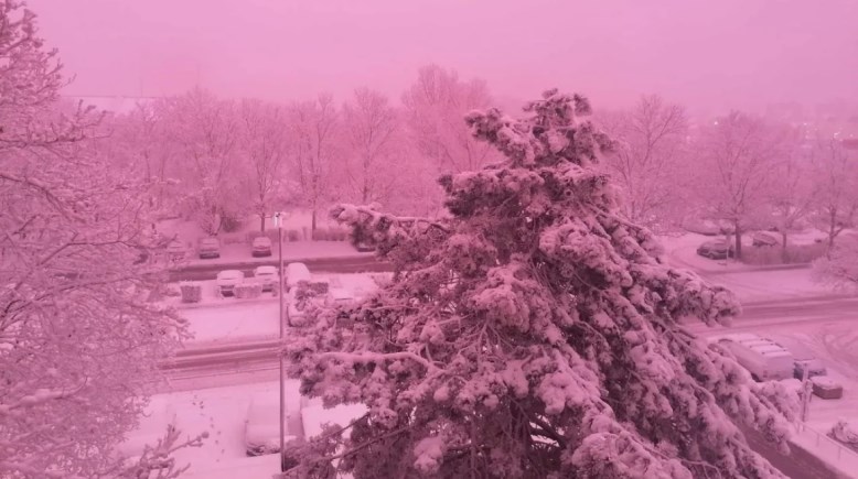 بريطانيا والضباب الوردي