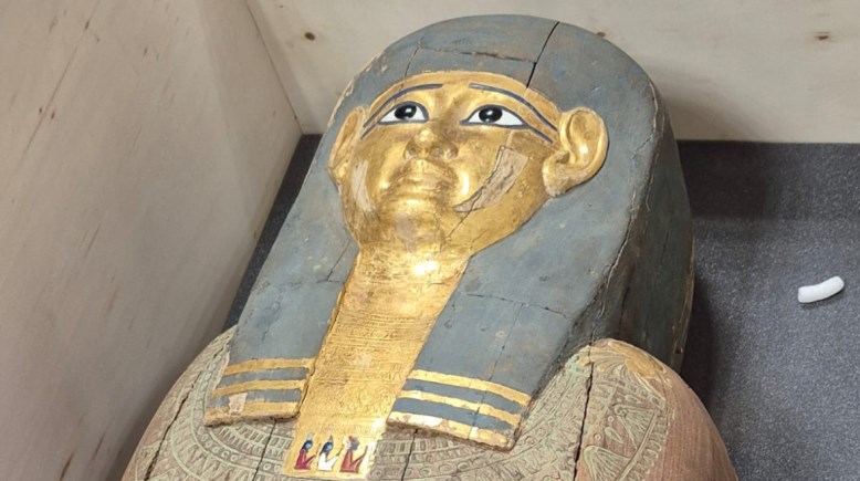 القطع الأثرية المستردة