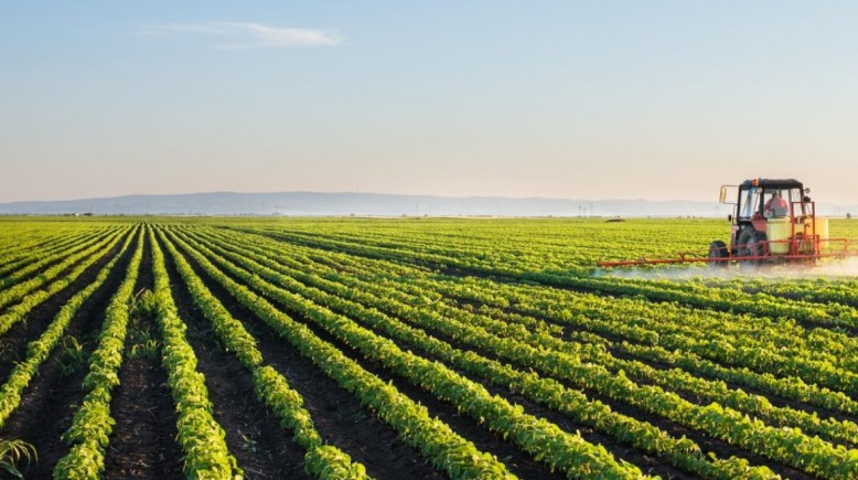 أراضي الأوقاف