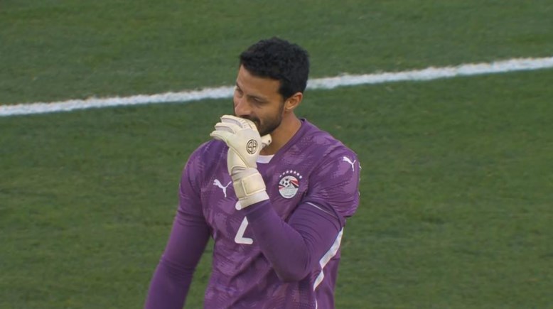 محمد الشناوي 