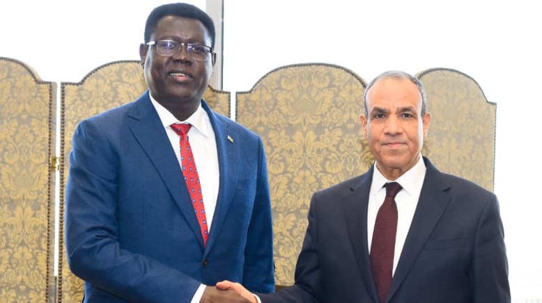 جانب من اللقاء 