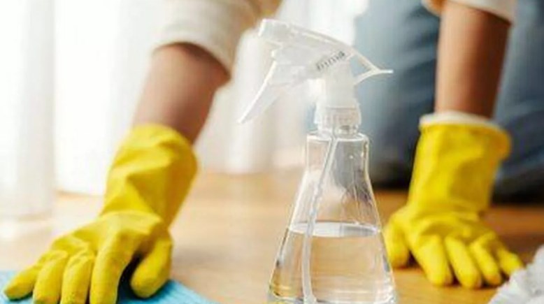 أدوات منزلية شائعة تكون بيئة خصبة لتكاثر البكتيريا