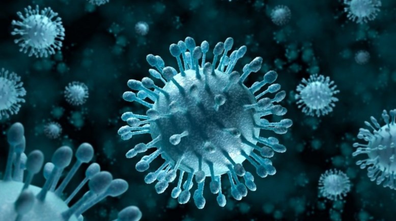 ما هو فيروس H1N1، أبرز أعراضه وكيفية الوقاية منه
