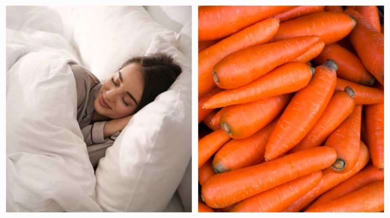 الجزر والنوم