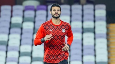 محمد الشناوي 