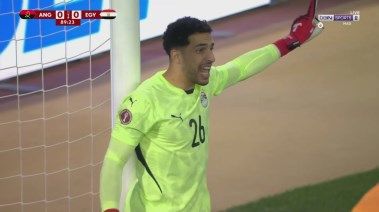 مصطفى شوبير 