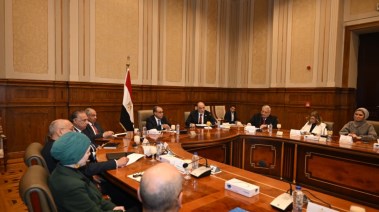 الدكتور بدر عبد العاطي، وزير الخارجية