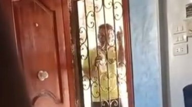 جانب من الواقعة 