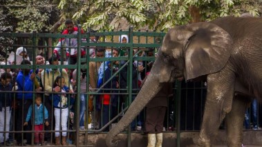 افتتاح حديقة الحيوان والأورمان