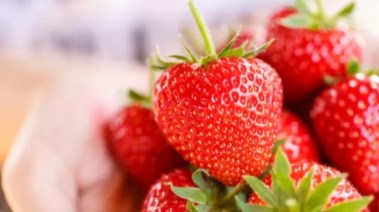 الفراولة غنية بفيتامين سي 