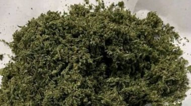 جانب من المضبوطات 