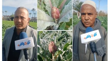 مزارعو سيدي غازي في البحيرة