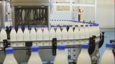 سعر لتر اللبن