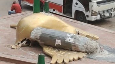 إزالة الحمامة العمياء أيقونة الهلالي 