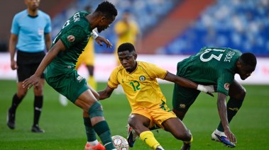 جنوب أفريقيا وزيمبابوي