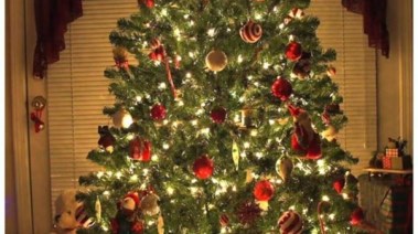 شجرة الكريسماس 