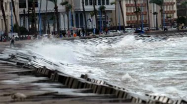  نوة القاسم في الإسكندرية