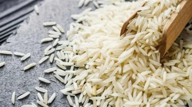 الأرز الشعير 