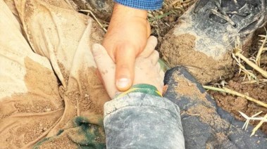 الطفل أمير من تحت الأنقاض