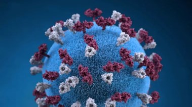 فيروس الحصبة- تعبيرية