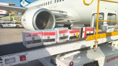 شحنة الأدوية والمستلزمات الطبية