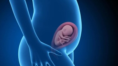 تأثير الغدة الدرقية على الجنين