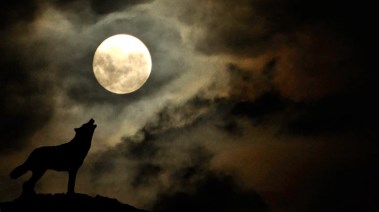 قمر الذئب العملاق في عام 2026