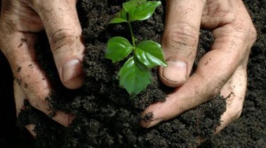 موضوع تعبير عن الزراعة للطلاب في المدارس