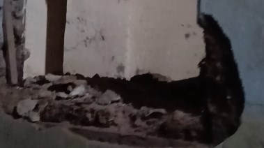 لقطة لأحد البيوت بقرية جريس بالمنوفية 