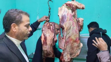 صورة من ضبط اللحوم الفاسدة 