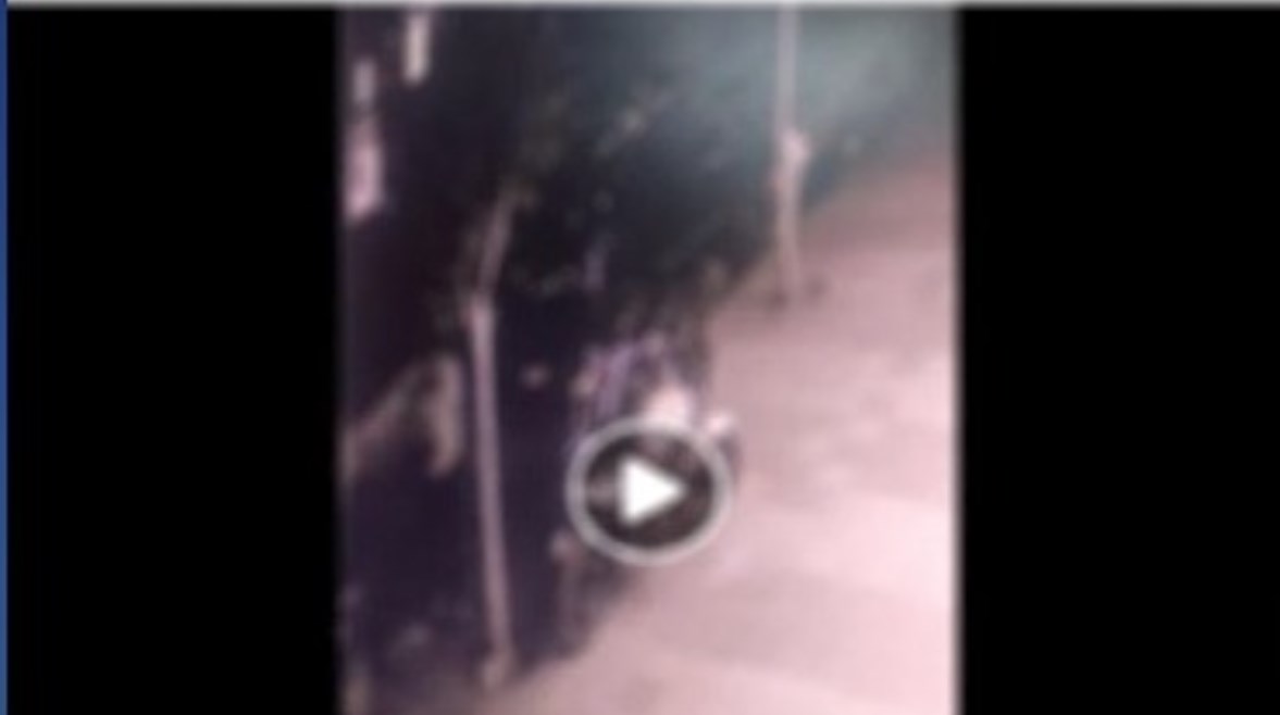 لقطة من الفيديو