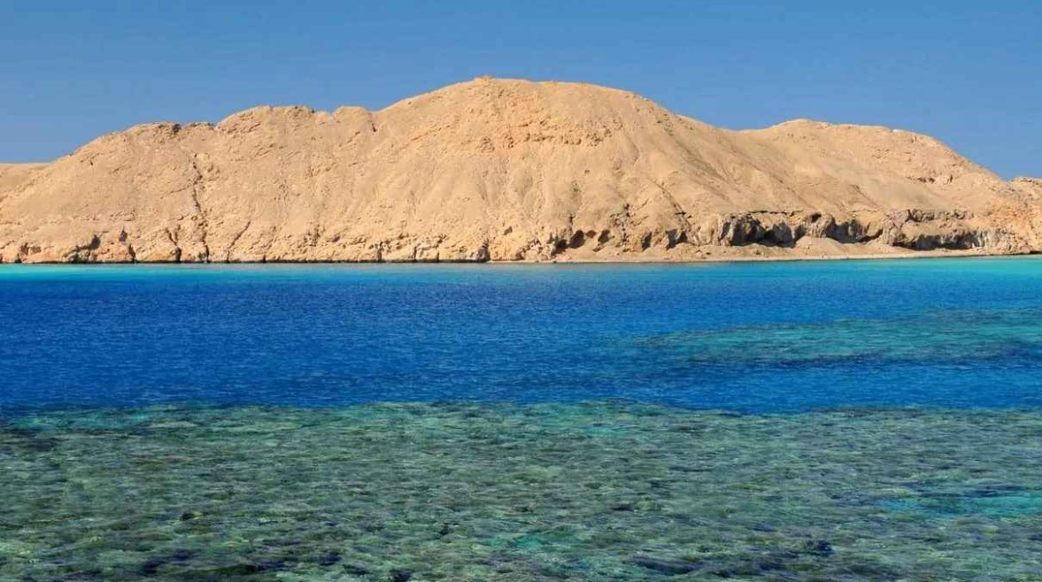 أرشيفية 