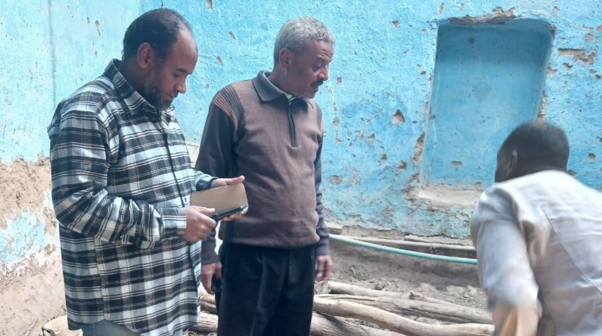 مكافحة النمل الأبيض