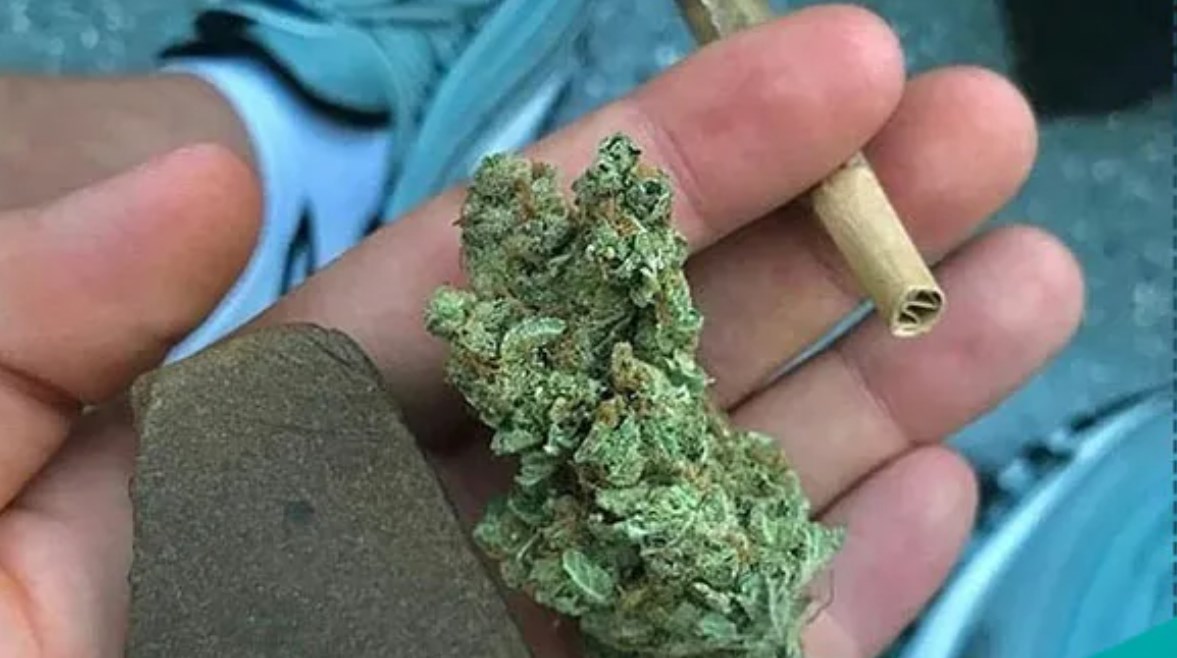  مخدر الهيدرو - أرشيفية 