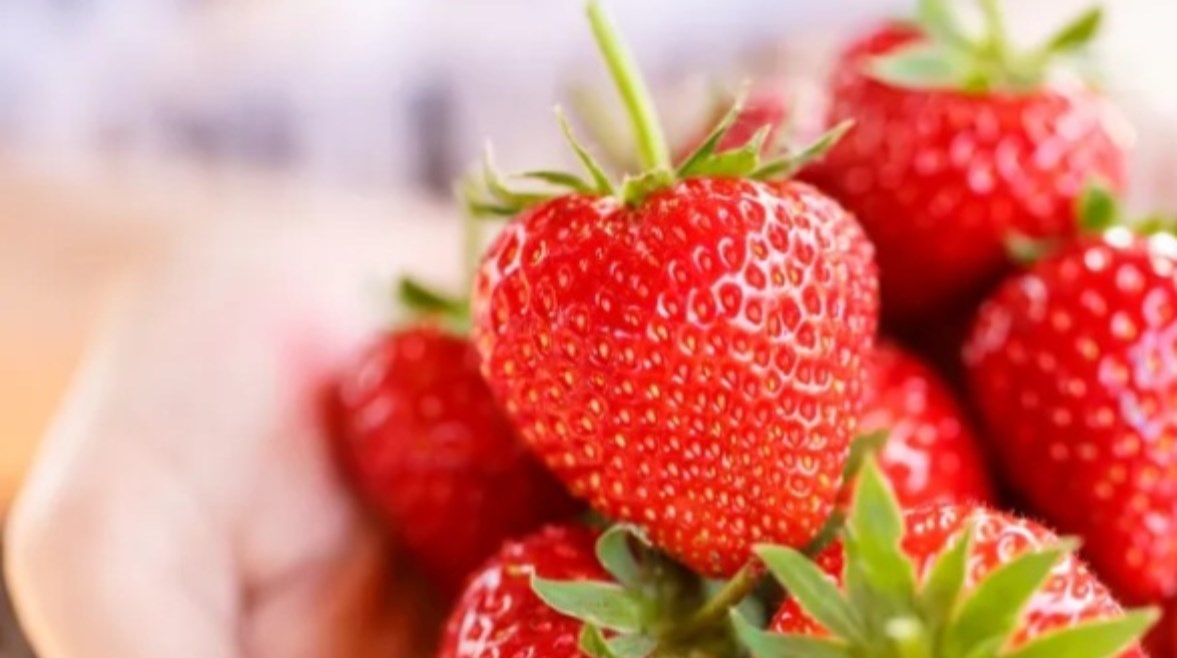 الفراولة غنية بفيتامين سي 