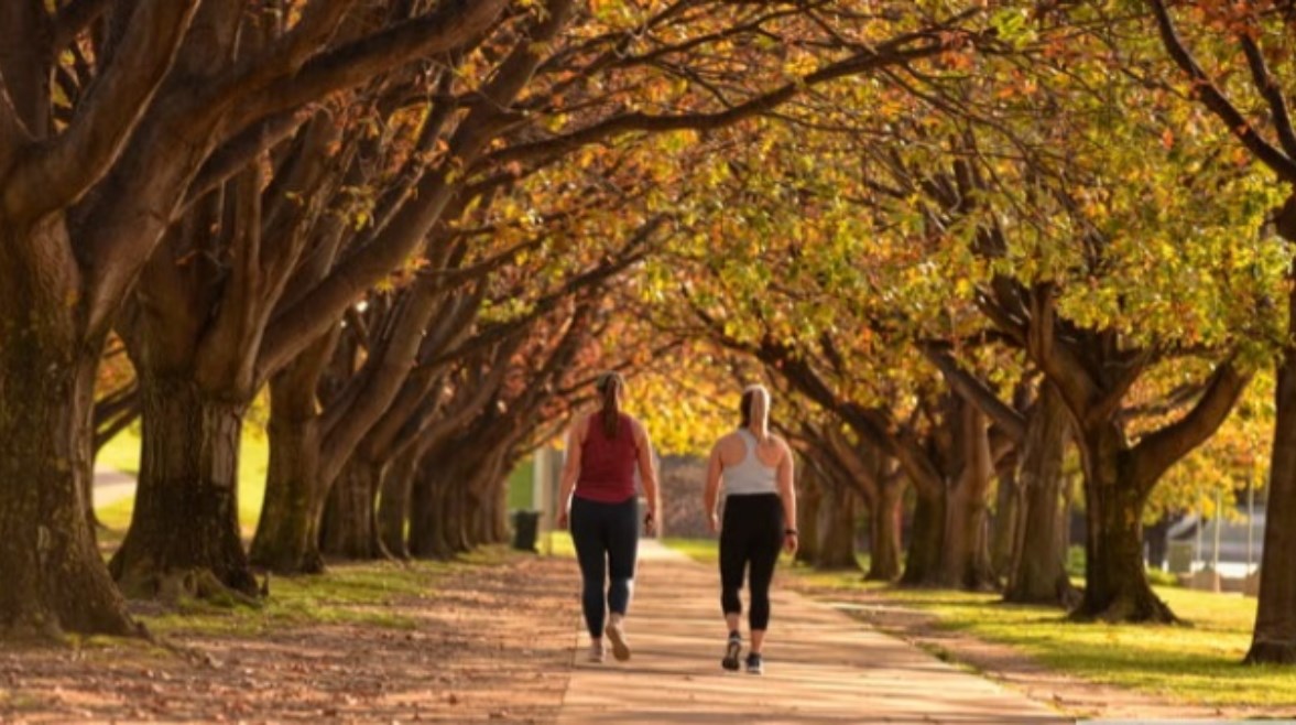 فوائد عديدة للمشي العكسي